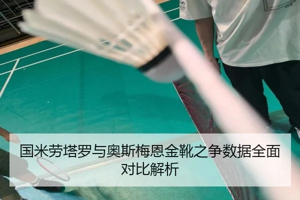 国米劳塔罗与奥斯梅恩金靴之争数据全面对比解析