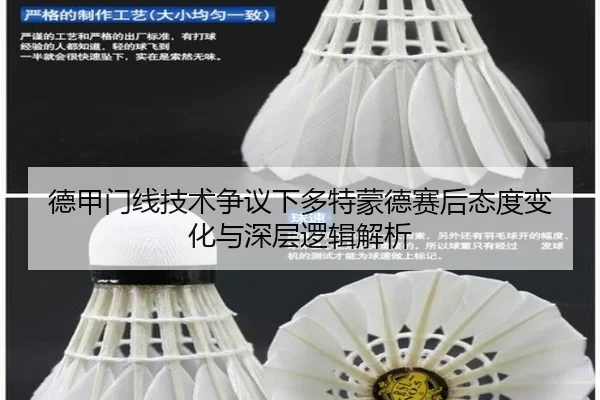 德甲门线技术争议下多特蒙德赛后态度变化与深层逻辑解析